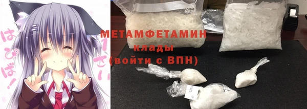 прущие грибы Снежногорск